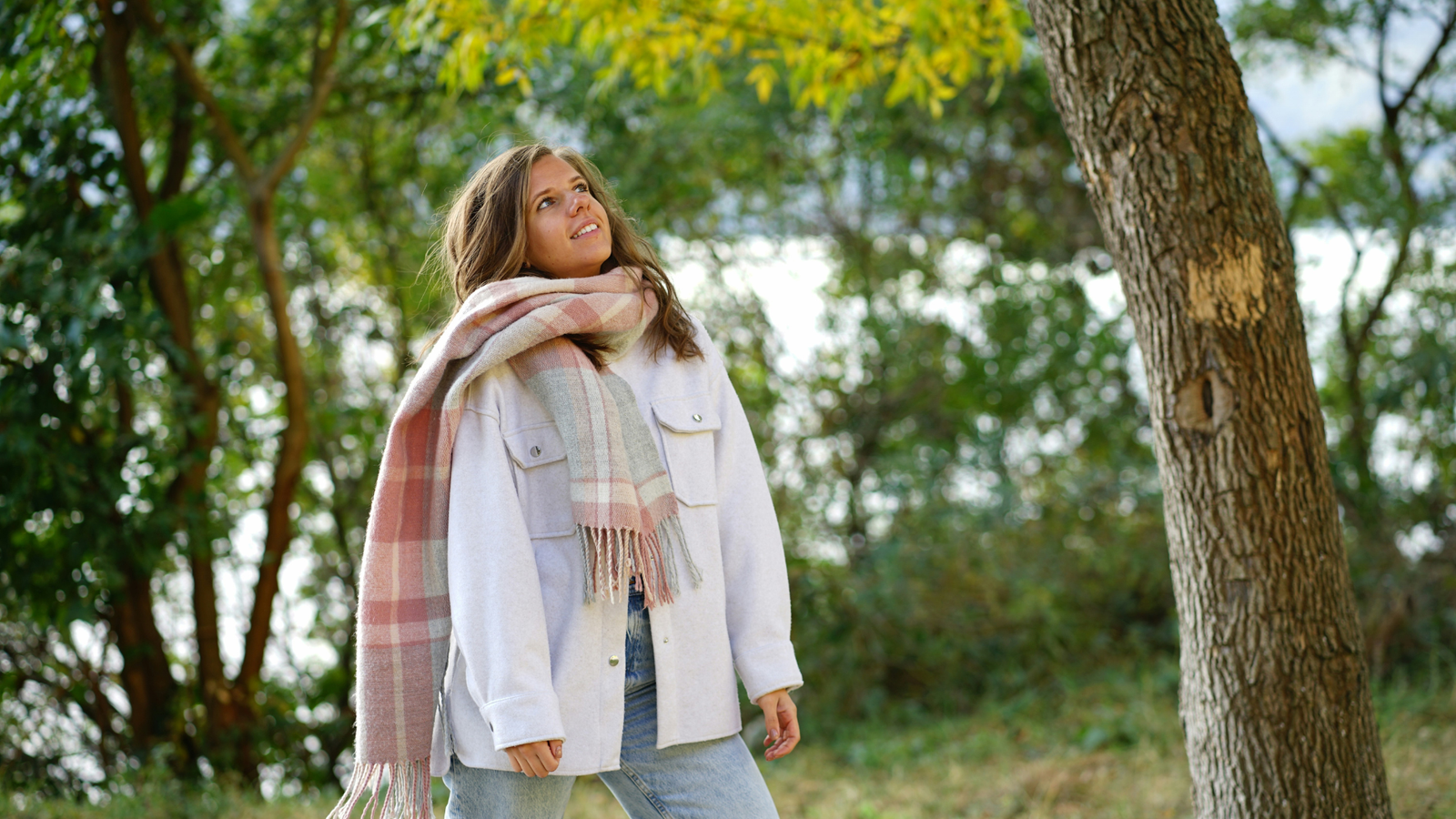 Christmas scarves